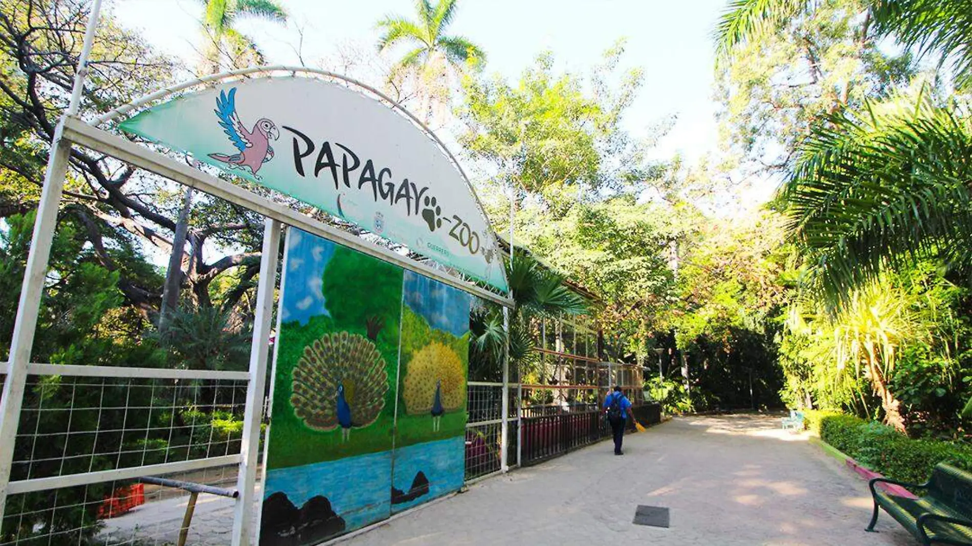 parque papagayo